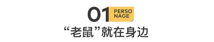 640.webp