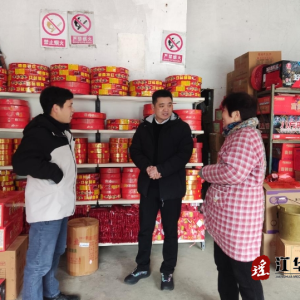 文嵩到涛圩开展安全生产督查及走访慰问活动