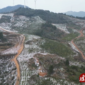 江华：雪后送“技”下乡 全力保障农业生产