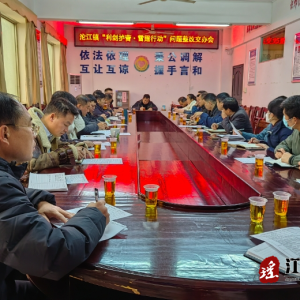 江华沱江镇：召开“利剑护蕾·雷霆行动”问题整改交办会